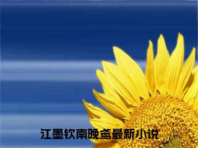 江墨钦南晚鸢(江墨钦南晚鸢)全文免费阅读无弹窗大结局_江墨钦南晚鸢小说在线阅读无删减