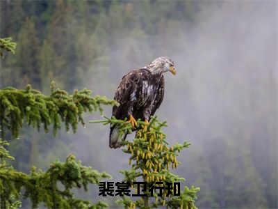 裴裳卫行知（特定猎物）全文免费阅读_裴裳卫行知全文阅读_笔趣阁（特定猎物）