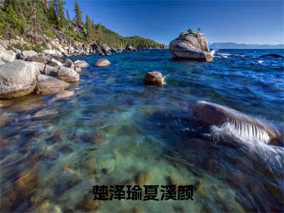 楚泽瑜夏溪颜（楚泽瑜夏溪颜）全文免费阅读无弹窗大结局_楚泽瑜夏溪颜免费阅读最新章节列表_笔趣阁（楚泽瑜夏溪颜）