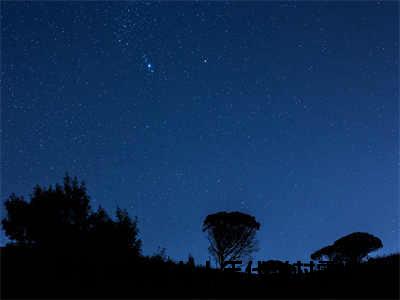 顾知夏陆旭辰免费小说-（顾知夏陆旭辰）末世大佬在七十年代当村霸！完结版在线阅读