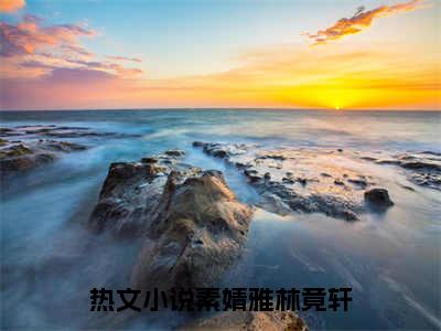 这些天，你有没有一刻爱上过我？小说（素婧雅林竟轩）全文免费阅读_这些天，你有没有一刻爱上过我？小说（素婧雅林竟轩）最新章节列表笔趣阁小说