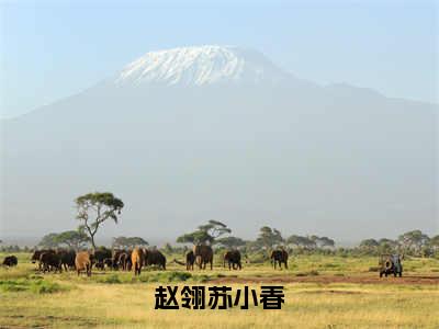 赵翎苏小春（六零之捡个失忆男人当老公）高质量小说推荐阅读-最新小说六零之捡个失忆男人当老公全文阅读