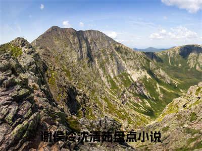 谢侯冷沈清茹（谢侯冷沈清茹）热门小说盘点在线阅读-谢侯冷沈清茹小说无弹窗