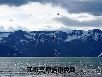 江折夏傅屿霄全文免费阅读-小说江折夏傅屿霄大结