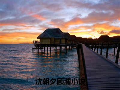 言情小说榜单沈朝夕顾渊阅读全文（沈朝夕顾渊）-沈朝夕顾渊完整版免费小说