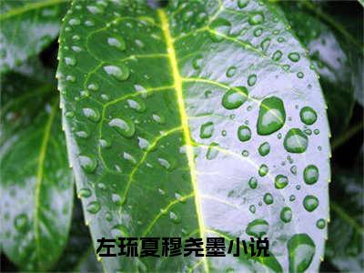 《左琉夏穆尧墨》全文免费阅读最新章节大结局-左琉夏穆尧墨 全文全章节免费阅读