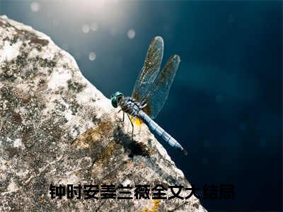 钟时安姜兰薇（钟时安姜兰薇）全文阅读完整版_钟时安姜兰薇（钟时安姜兰薇）小说免费阅读大结局无删减（钟时安姜兰薇）