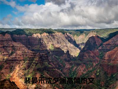 裴晏禾沈夕澜全集章节小说免费阅读完整版（裴晏禾沈夕澜）-裴晏禾沈夕澜小说免费阅读