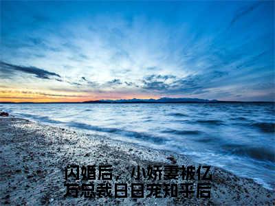 夏浅浅顾言卿免费小说（闪婚后，小娇妻被亿万总裁日日宠）全文免费阅读_夏浅浅顾言卿免费小说夏浅浅顾言卿小说最新章节列表笔趣阁