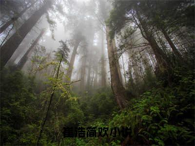 崔浩简欢（崔浩简欢）在线阅读大结局-崔浩简欢小说最新章节阅读-笔趣阁