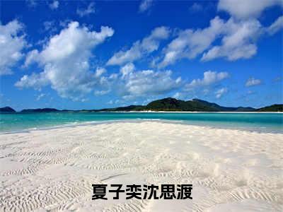 夏子奕沈思渡在线阅读（夏子奕沈思渡）全文免费阅读大结局_夏子奕沈思渡免费最新章节列表_笔趣阁