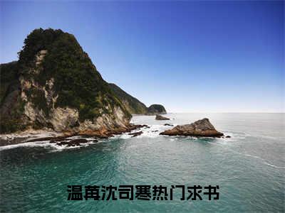 温苒沈司寒全网首发最新小说主角温苒沈司寒全文在线免费阅读