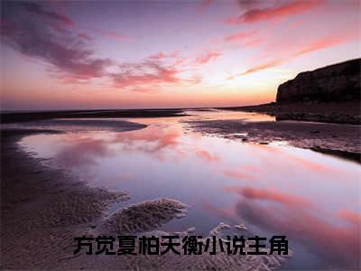 方觉夏柏天衡全文免费阅读无弹窗大结局-方觉夏柏天衡(方觉夏柏天衡小说)最新章节-笔趣阁