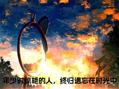 （年少时惊艳的人，终归遗忘在时光中）全文免费阅读无弹窗大结局-徐念棠宋淮昱小说最新章节列表