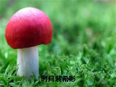 主人公叫（时月裴希影）的小说（爱停留在冬季）全文免费阅读最新章节列表_笔趣阁