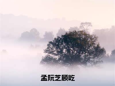 孟阮芝顾屹全文免费阅读无弹窗大结局_孟阮芝顾屹(孟阮芝顾屹最新章节在线阅读)_笔趣阁