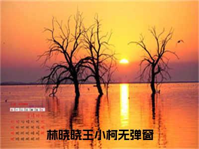 主角是林晓晓王小柯的小说叫什么名字 林晓晓王小柯小说免费阅读