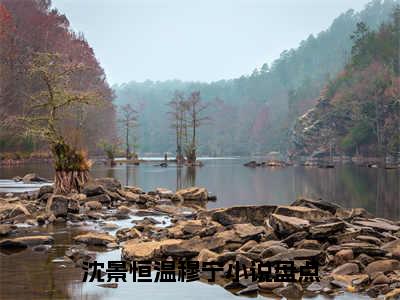 沈景恒温穆宁近期热推小说-沈景恒温穆宁小说无弹窗试读