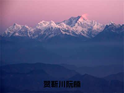 贺靳川阮楠（贺靳川阮楠）小说-贺靳川阮楠小说免费最新章节列表