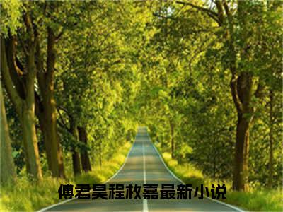 傅君昊程枚嘉（傅君昊程枚嘉）全集免费阅读无弹窗_傅君昊程枚嘉正版小说免费阅读