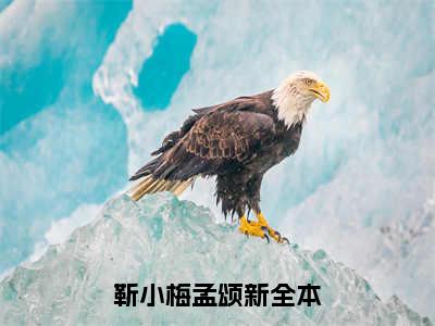 靳小梅孟颂新（靳小梅孟颂新）全文免费阅读无弹窗大结局_靳小梅孟颂新免费阅读无弹窗最新章节列表_笔趣阁（靳小梅孟颂新）