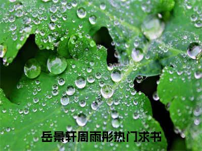 岳景轩周雨彤的小说（岳景轩周雨彤）全文免费阅读