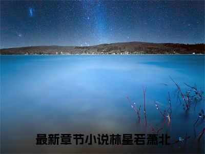 林星若萧北小说无广告免费阅读无删减