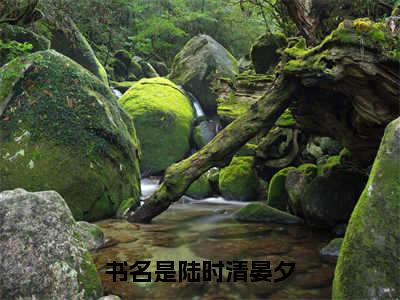 陆时清晏夕（陆时清晏夕）热文小说全文阅读-精彩美文陆时清晏夕免费阅读