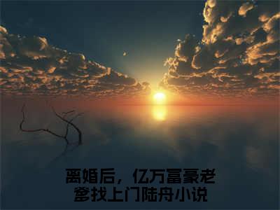 离婚后，亿万富豪老爹找上门陆舟最新免费小说全文在线阅读无弹窗大结局_（离婚后，亿万富豪老爹找上门陆舟全文在线阅读无弹窗）