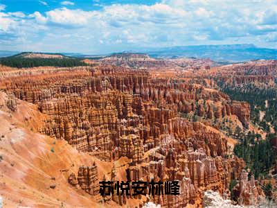 苏悦安林峰（苏悦安林峰）全文免费阅读（苏悦安林峰）小说无弹窗阅读