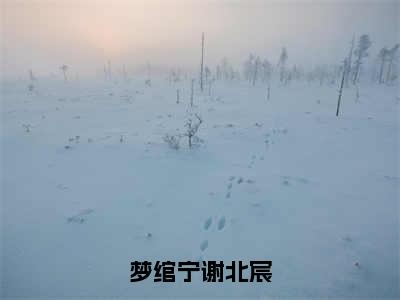 出嫁时，师傅给我种下了断情蛊(梦绾宁谢北宸)全文免费阅读无弹窗大结局_出嫁时，师傅给我种下了断情蛊完整版在线阅读章节列表_笔趣阁