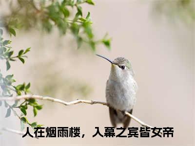 （热推新书）《人在烟雨楼，入幕之宾皆女帝》全文免费阅读无弹窗大结局-苏子墨无弹窗阅读