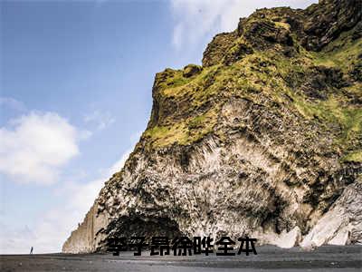 李子昂徐晔小说完整版阅读-（李子昂徐晔）小说全文免费阅读