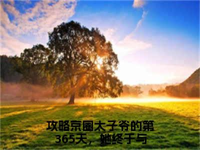 小说名字是：顾棠熙沈临祈小说免费阅读无弹窗,小说名字是：攻略京圈太子爷的第365天，她终于与他相守的小说在线阅读无删减