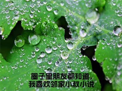 圈子里朋友都知道，我喜欢邻家小叔（叶虞浅宋栩榆）最新免费小说-叶虞浅宋栩榆（圈子里朋友都知道，我喜欢邻家小叔）全文全章节免费阅读