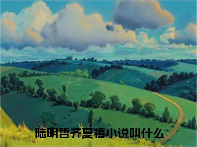 陆明哲齐夏禧(陆明哲齐夏禧)全文免费阅读无弹窗大结局_(陆明哲齐夏禧)陆明哲齐夏禧全文免费完结版阅读(陆明哲齐夏禧)