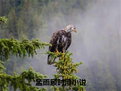 孟雨顾时浔（孟雨顾时浔）全文免费阅读无弹窗大结局_孟雨顾时浔全文免费阅读（孟雨顾时浔）最新章节列表_笔趣阁（孟雨顾时浔）