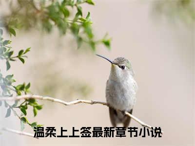 楚时聂林池小说（温柔上上签）全文免费阅读无弹窗大结局_楚时聂林池小说免费阅读_笔趣阁（温柔上上签小说）