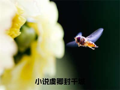 虞卿封千城全文免费阅读_（虞卿封千城免费阅读无弹窗）虞卿封千城最新章节列表笔趣阁