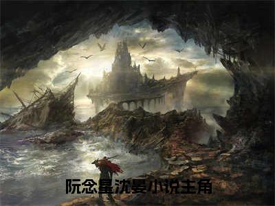 阮念星沈晏免费阅读结局阮念星沈晏无弹窗全本免费阅读