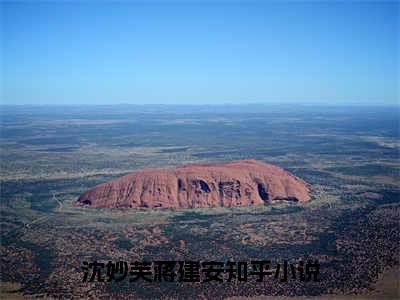 他们之间似乎从不信任彼此小说完整版阅读-沈妙芙蒋建安小说全文无删减版