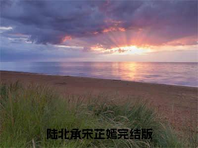 陆北承宋芷嫣热门榜单小说 重生后，小丫头日日夜夜娇哄陆爷完本小说无弹窗免费阅读