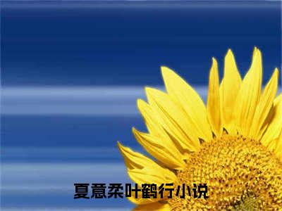 夏意柔叶鹤行（夏意柔叶鹤行小说）全文免费阅读无弹窗大结局_（夏意柔叶鹤行）夏意柔叶鹤行最新章节列表笔趣阁（夏意柔叶鹤行）