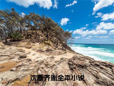 沈蔷齐胤（沈蔷齐胤）全文免费阅读大结局-沈蔷齐胤小说全文免费阅读最新章节列表