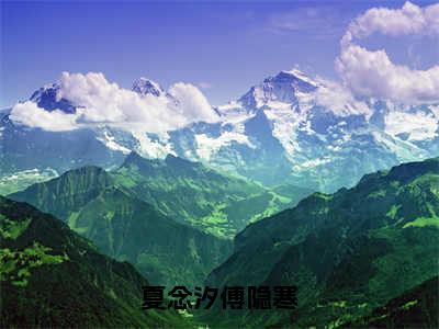 夏念汐傅隐寒小说（傅隐寒夏念汐）无弹窗大结局-傅隐寒夏念汐（夏念汐傅隐寒）完整版免费阅读