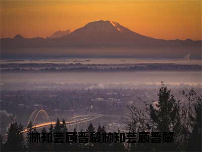 林知芸顾晋黎小说（林知芸顾晋黎）全文免费阅读无弹窗_林知芸顾晋黎小说_笔趣阁