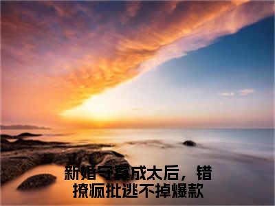 宋音书萧御辞（新婚守寡成太后，错撩疯批逃不掉）热推现言小说-宋音书萧御辞小说在哪里可以看全文