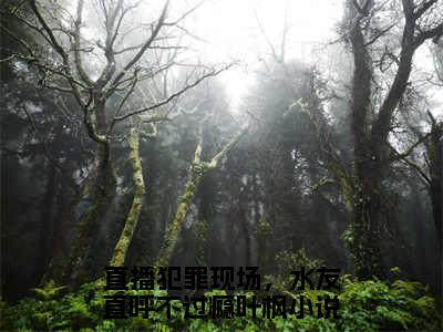 直播犯罪现场，水友直呼不过瘾叶枫小说全文(直播犯罪现场，水友直呼不过瘾叶枫)免费阅读全文无弹窗大结局_ 直播犯罪现场，水友直呼不过瘾叶枫免费阅读无弹窗小说_笔趣阁