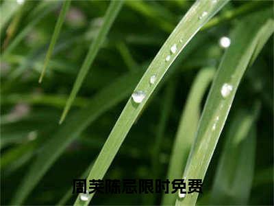 周芙陈忌(周芙陈忌)全文免费阅读无弹窗大结局_周芙陈忌章节列表