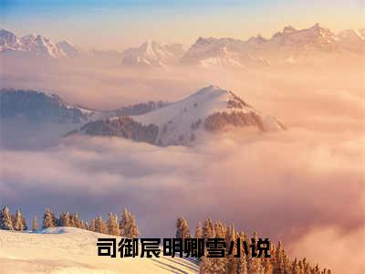 司御宸明卿雪完整版最新小说大结局 司御宸明卿雪最新章节